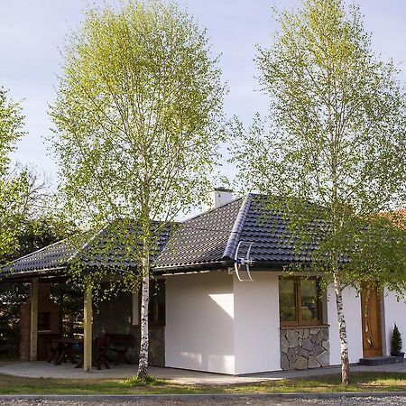 "Miedzy Gruszka A Sanem" Apartment Lesko Exterior photo